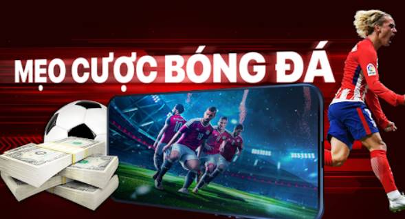 Top 03 cách cá cược bóng đá luôn thắng 
